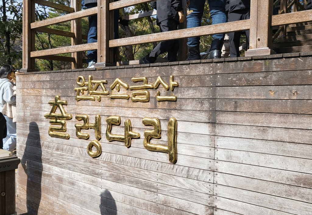 원주 소금산 그랜드밸리 출렁다리 